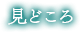 見どころ