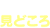 見どころ