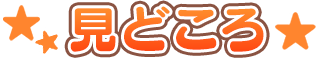 見どころ
