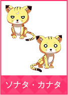 ソナタ・カナタ