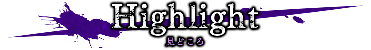 Highlight 見どころ
