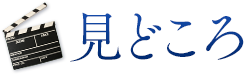 見どころ