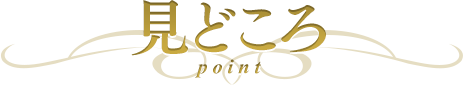 見どころ