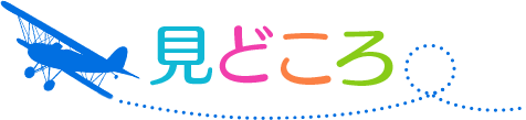 見どころ