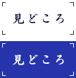 見どころ