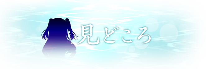 見どころ