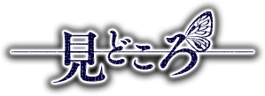 見どころ