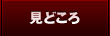 見どころ