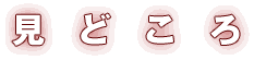 見どころ