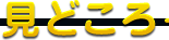 見どころ