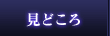 見どころ