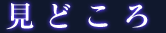 見どころ
