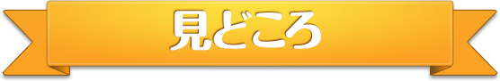 見どころ