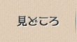 見どころ