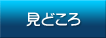 見どころ