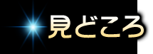 見どころ