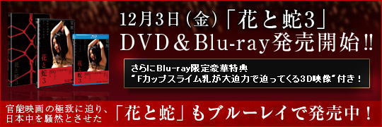 123ʶˡز֤ȼ3DVD&Blu-rayȯ䳫ϡ