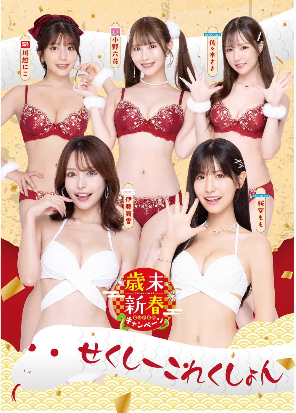 FANZA限定デジタル写真集